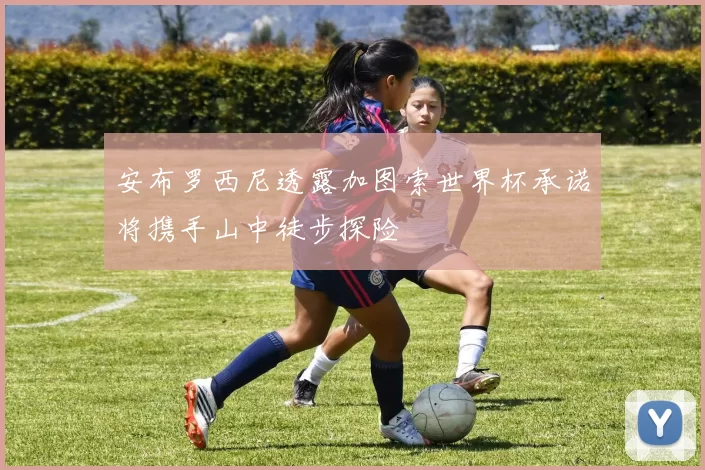 安布罗西尼透露加图索世界杯承诺将携手山中徒步探险