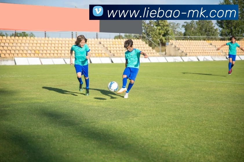 MK体育APP 封面图